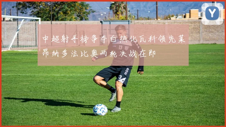 中超射手榜争夺白热化瓦科领先莱昂纳多法比奥两轮决战在即