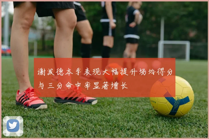 谢泼德本季表现大幅提升场均得分与三分命中率显著增长