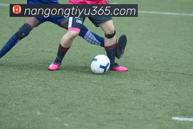 南宫体育APP 封面图